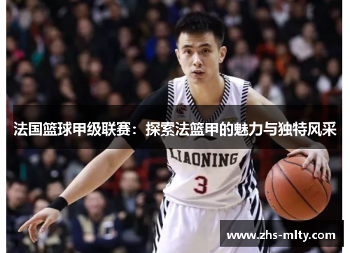 法国篮球甲级联赛：探索法篮甲的魅力与独特风采